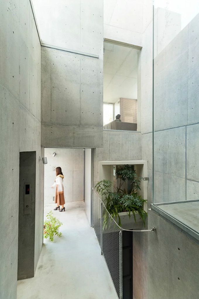 akihisa-hirata-tree-ness-house-otsuka-tokyo-japan-designboom-07.jpg